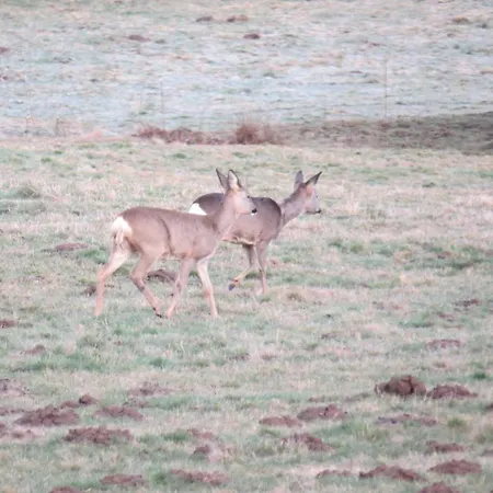 Alojamento de Turismo Selvagem Nature Vosges