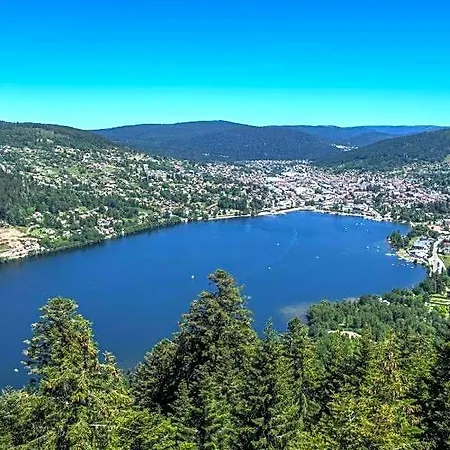 Nature Vosges بيت خشبي