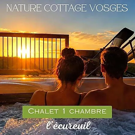 Nature Vosges بيت خشبي Anould