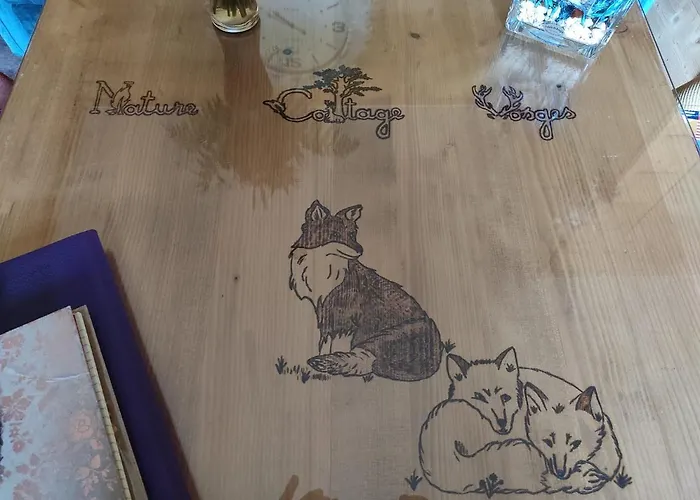 Nature Vosges Chata Anould